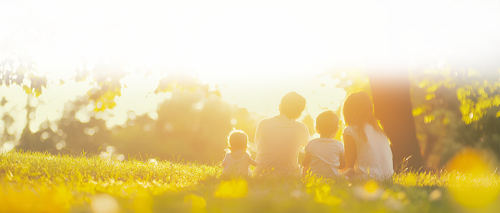 全力打造河南本土康养品牌